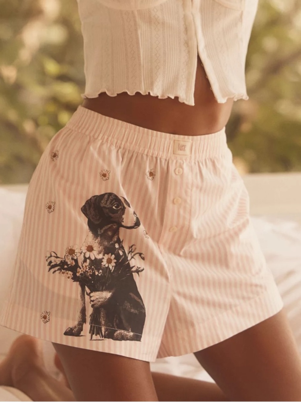 Anthropologie The Wren Boxer Shorts, Dog Edition NWT Large